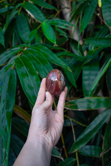 Petrified Wood Egg